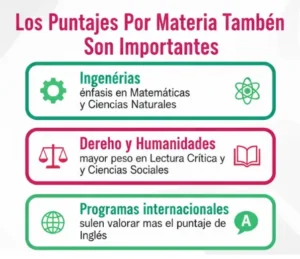 Los Puntajes Por Materia También Son Importantes