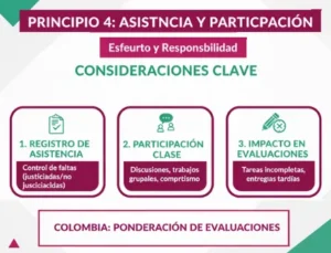 Principio 4: Considerar la Asistencia y la Participación